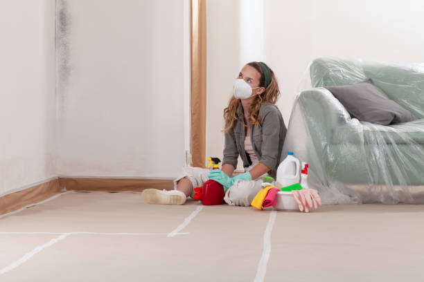 Reliable Mold Cleanup contractor in Church Creek, MD by WQB Mold Removal